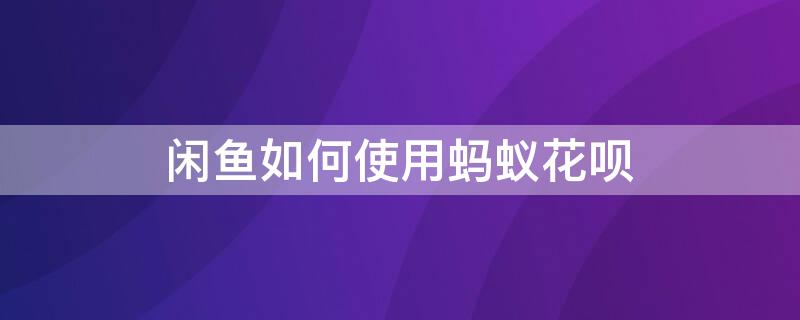 闲鱼如何使用蚂蚁花呗 闲鱼怎么用花呗支付宝吗