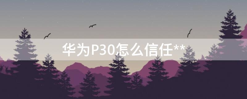 华为P30怎么信任** 华为p30怎么信任应用