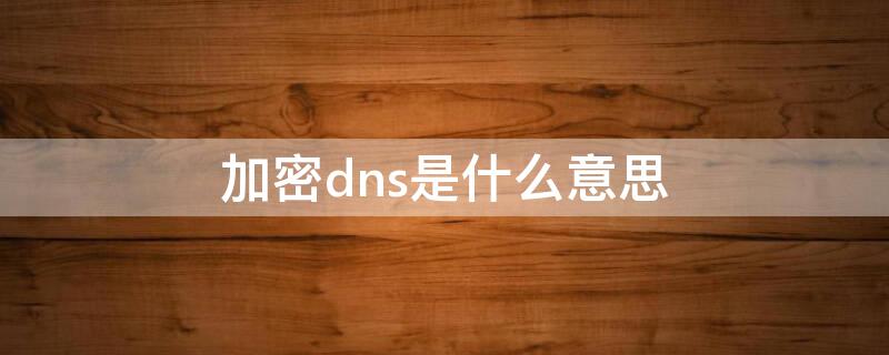 加密dns是什么意思（加密DNS是什么意思）