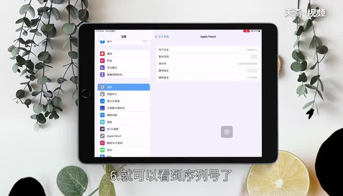 苹果一代笔序列号在哪 苹果一代笔怎么查看序列号