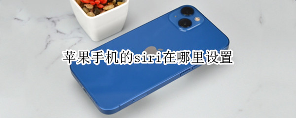 苹果手机的siri在哪里设置（iphone siri在哪里设置）