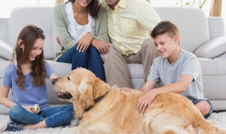 家长给孩子的寄语(家长给孩子寄语和鼓励怎么写)