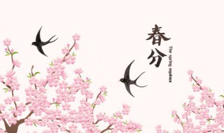 上坟春分前几天（上坟是春分前还是春分后）