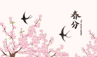 春分是昼长夜短还是昼短夜长（春分昼夜无长短）