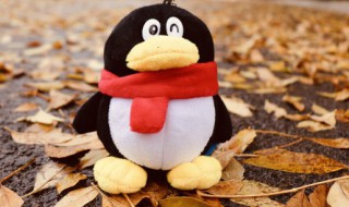 男生QQ昵称与众不同 与众不同的qq昵称