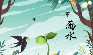 2022年雨水节气下雨好不好（2022年的雨水节气）