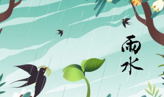 雨水过后天气有什么变化（雨水后的天气）