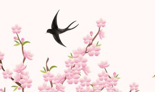 春分节气不能同房(节气的时候不能同房)