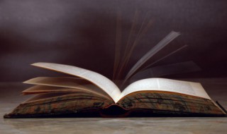 玉字旁（玉字旁的字有哪些适合取名 男孩）