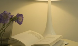 见字旁的字有哪些（足字旁的字有哪些）