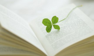 女字旁有哪些字 女字旁有哪些字一年级