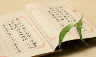 木字旁的字有那些（木字旁的名字）