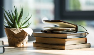 及字旁的字（及字旁的字有哪些）