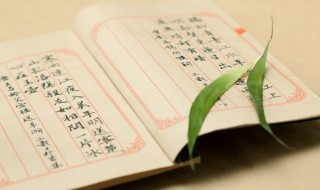 关字旁的字（关字旁的字大多与什么有关）