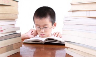 蝇王故事梗概 蝇王故事梗概ppt