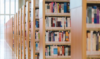 描写冬天雪景的诗句 描写冬天雪景的诗句三年级