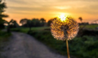 意境很美的诗句 意境很美的句子简短