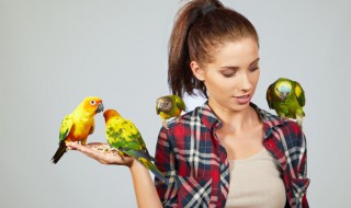 亲人的宠物鸟名字可爱黏人通人性（喜欢亲近人的宠物鸟）