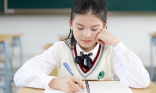 关于春节的来历风俗作文1000字（春节的传统风俗作文500字）