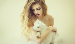 吉利的宠物名字好运自然来 象征好运的宠物名字