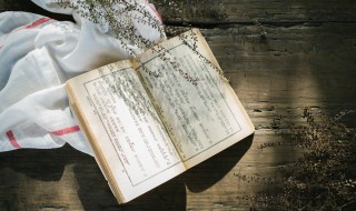 父母在人生尚有归途下一句是什么 父母尚在人生且有归途什么意思