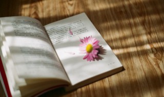 走心又精辟的朋友圈文案 经典的朋友圈文案