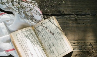 最励志的书法名句 最励志的书法名句行书