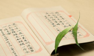 多多益善由什么典故而来（多多益善是哪位人物的典故）