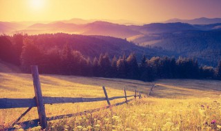 美文300字 美文300字摘抄