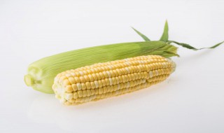 冷水蒸玉米大约要蒸多久（玉米冷水下锅蒸多久可以蒸熟）