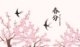 惊蛰前后是什么节气 惊蛰后面的节气是什么