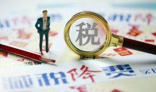 专项附加扣除退税需要审查多久? 专项附加税退税多久到账