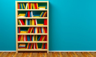 霸的拼音（霸的拼音怎么读）