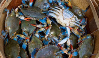 蟹蒸多长时间最佳（蟹蒸多长时间最佳 焖多久）