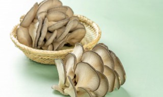 蘑菇煮几分钟可以熟（蘑菇要煮多少分钟才熟）
