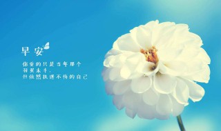 早安心话简短 简短早安心语短句