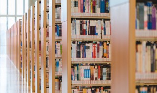 凤凰花的传说 关于凤凰花的传说