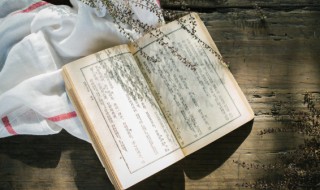 形容花开很美的诗句（形容花开得很美的诗句子）