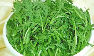 皇帝菜的功效与作用（帝王菜的营养功效）