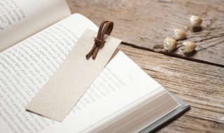 大雪纷飞的句子（描写大雪纷飞的句子）