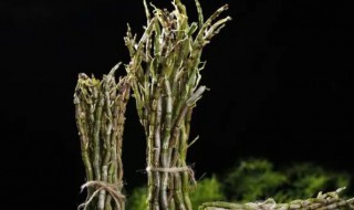 石斛煲汤要提前泡水吗（石斛煲汤需要提前泡吗）