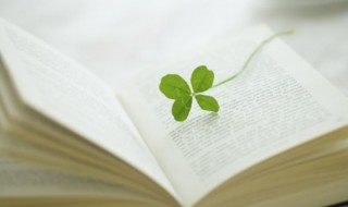 门字旁 门字旁的字有哪些