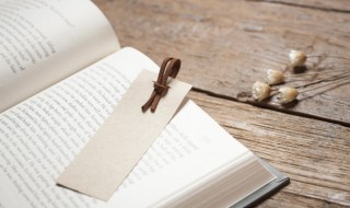 胖的组词 胖的组词两个字