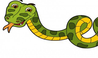 蛇的拼音 蛇的拼音怎么读