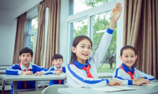 猫可以组什么词（猫可以组什么词语超可以组什么词语）