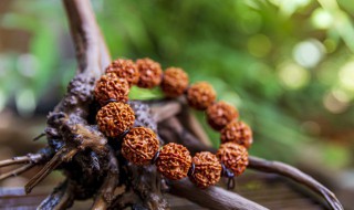 揪子能吃吗（揪子可以吃吗）