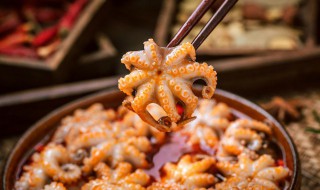 小章鱼的做法家常（小章鱼的做法怎么做好吃）