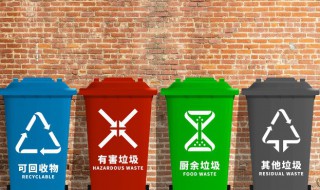 枯树枝属于什么垃圾 枯树是什么垃圾