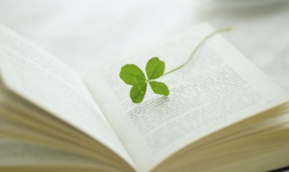 讶可以组什么词 惊讶的讶可以组什么词