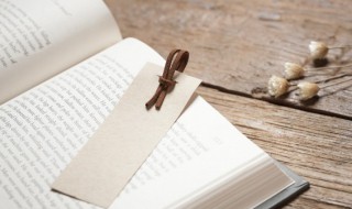 田文典故讲的是什么（历史上的田文是一个什么样的人）